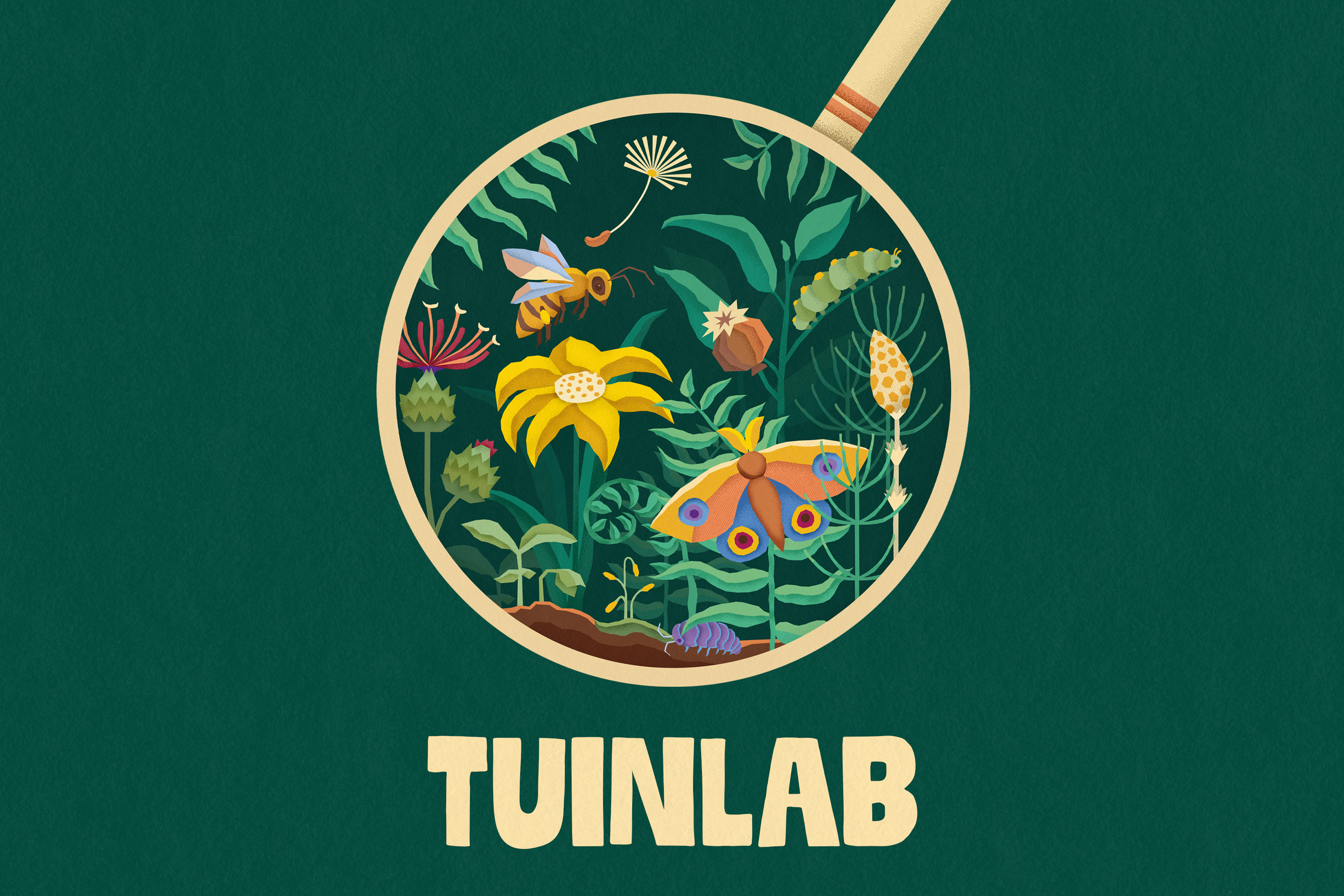 Illustration