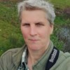 Petra Dreiskämper